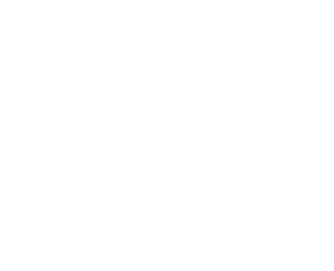 Together Agency